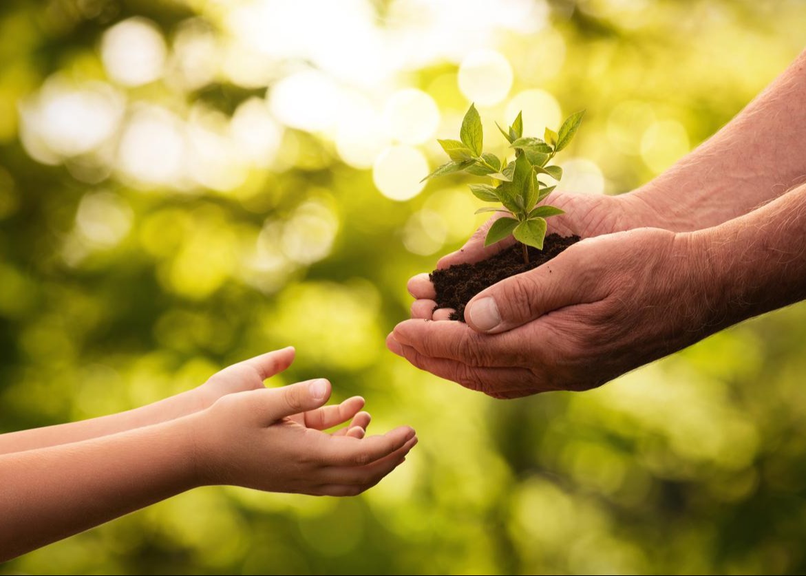 All You Need to Know: Trusts Thumbnail