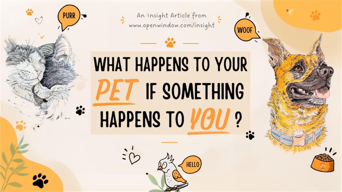What Happens to Your Pet If Something Happens to You? Thumbnail