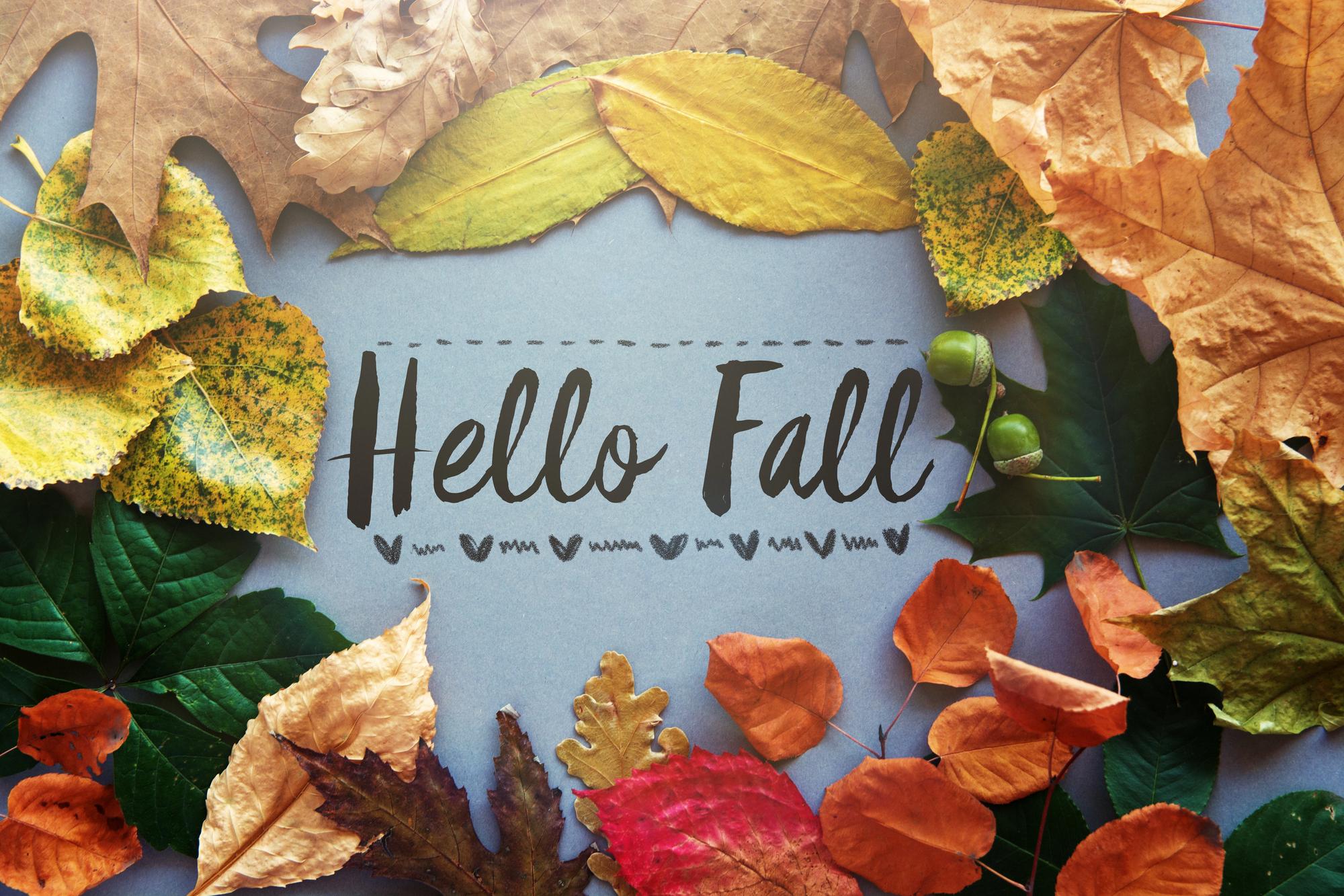 The seasons change—and so do the markets. The question is: are you ready for both? Thumbnail