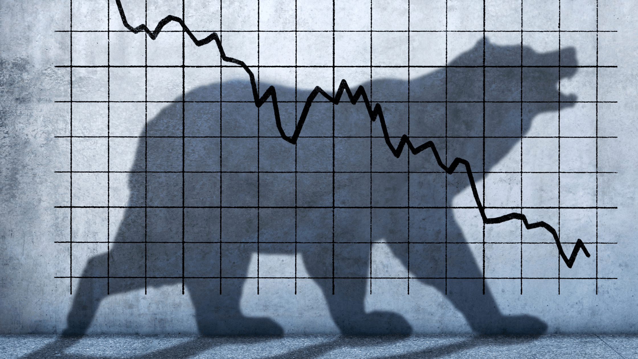 A Survival Guide for a Bear Market Thumbnail