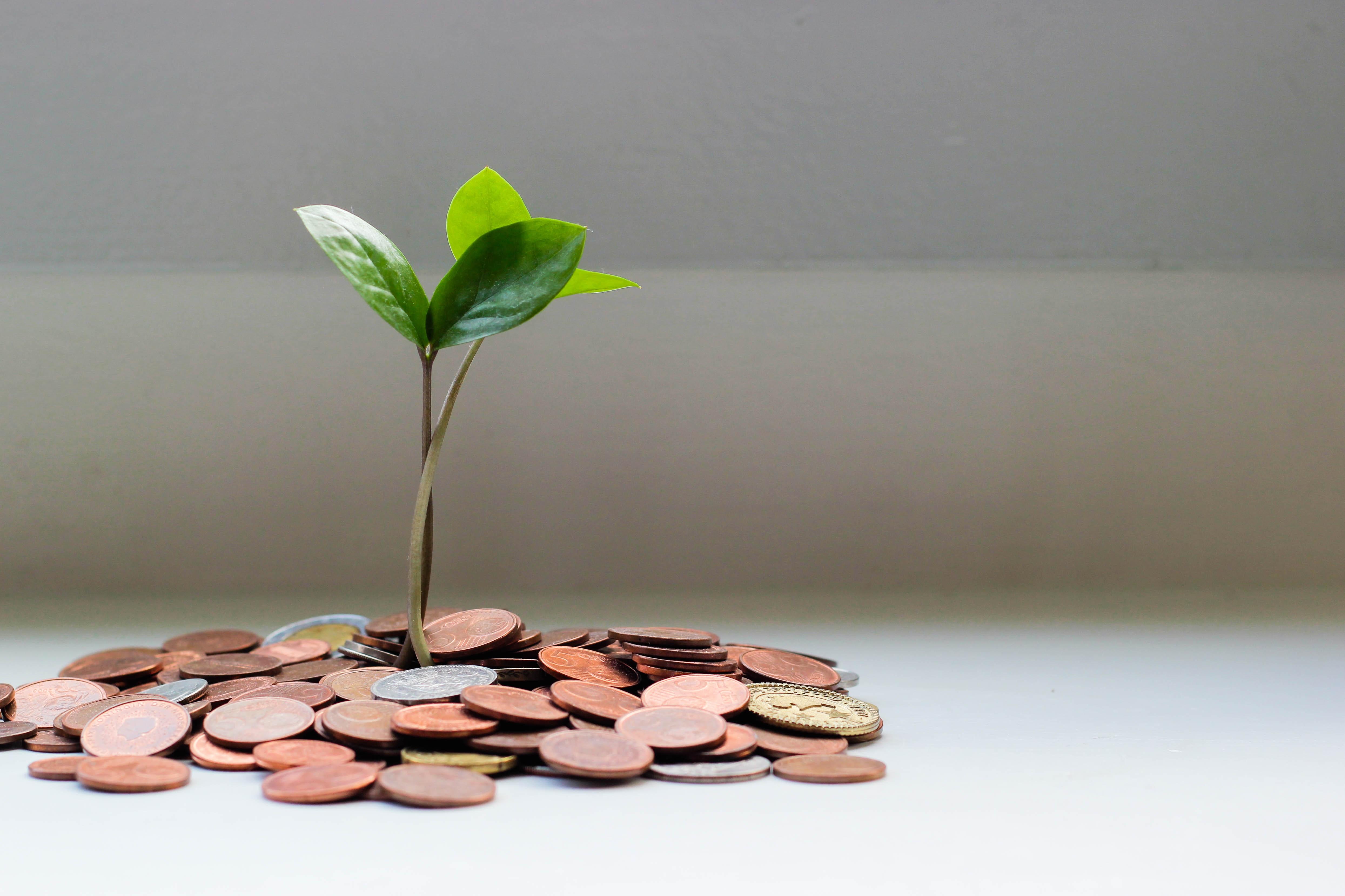 Timing Is Everything: When's the Right Time to Buy an Annuity? Thumbnail