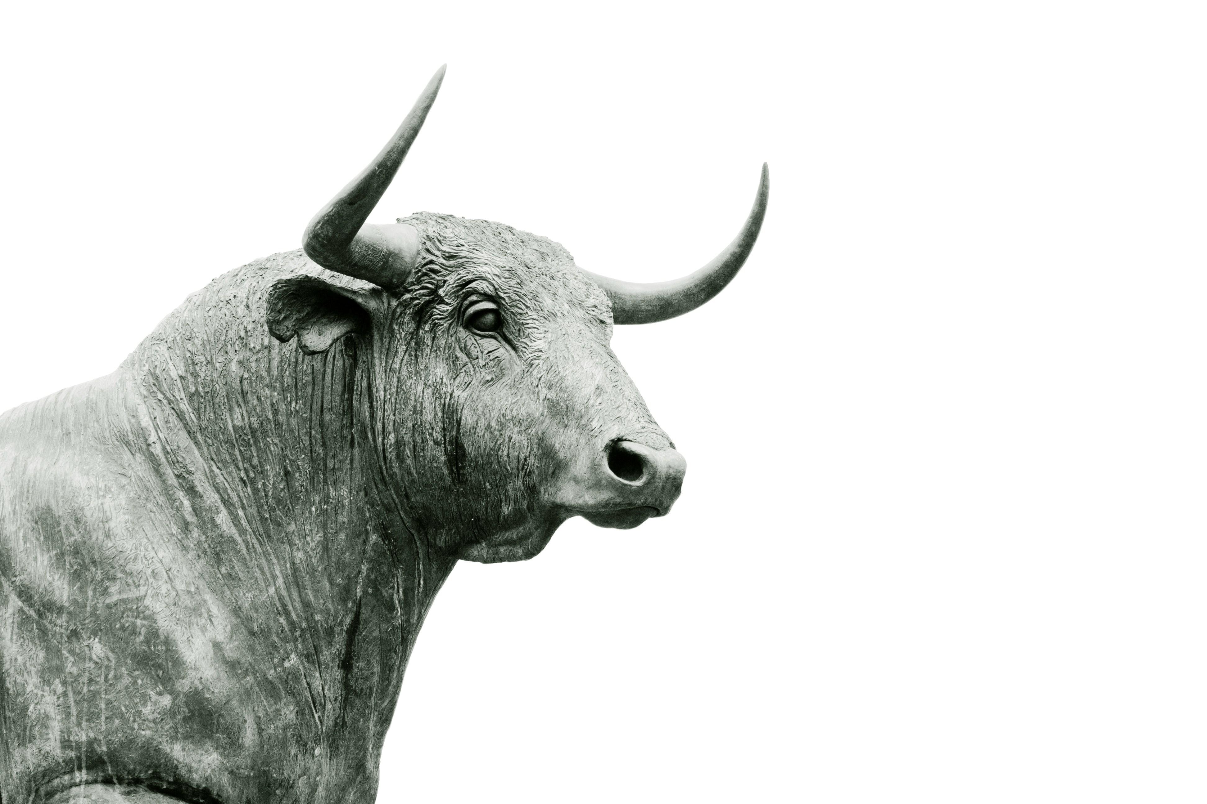 The Bull Market Enters Its Fifth Year: Long-Term Perspectives Thumbnail