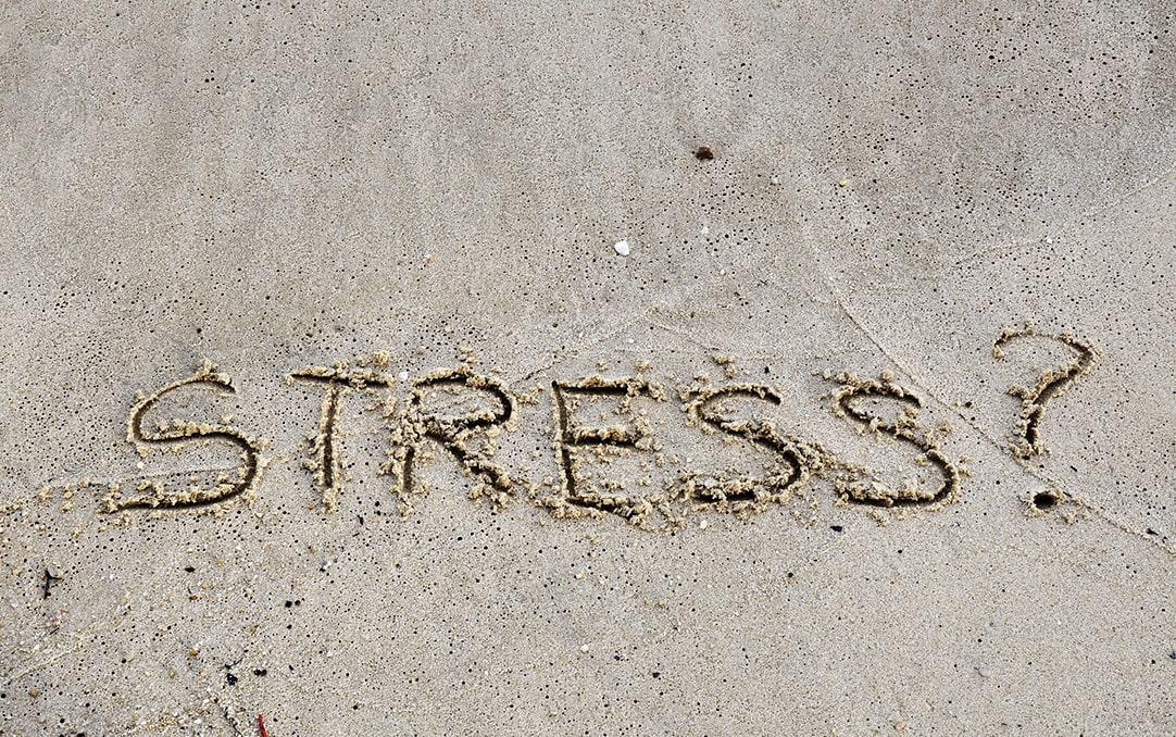 Stress Test Thumbnail