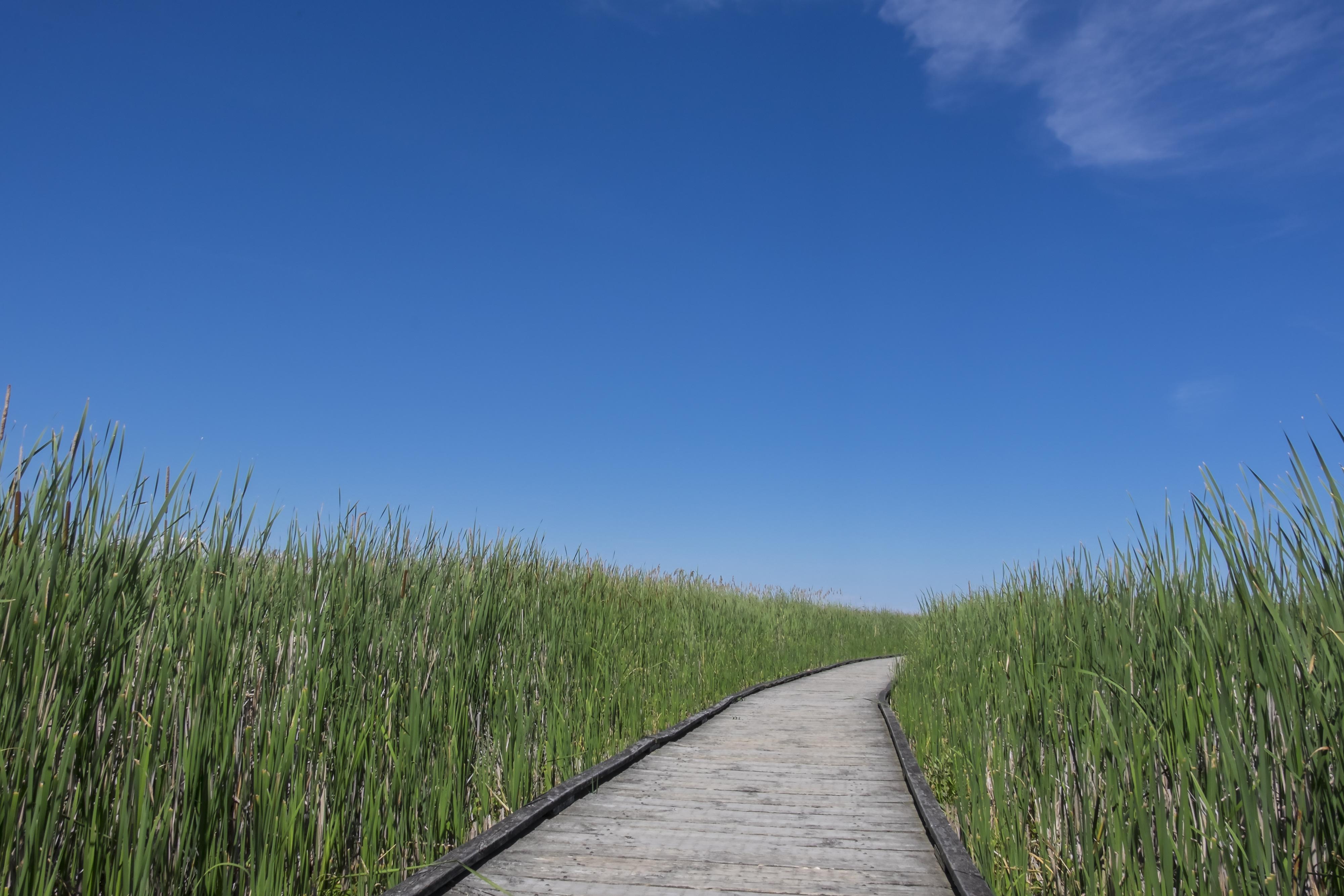 3RD QUARTER 2025 SUMMARY Thumbnail