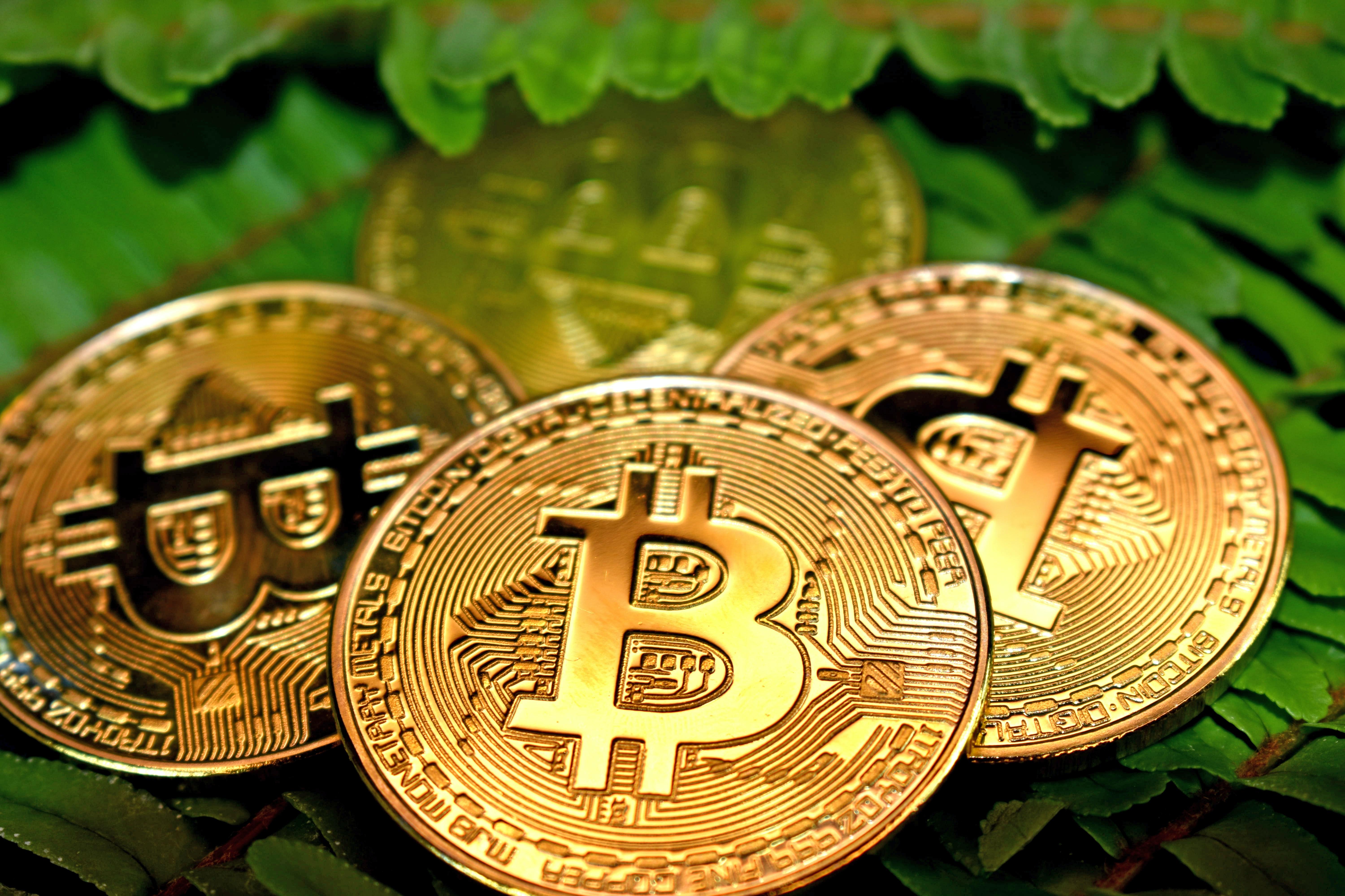 Part 3: Trading in Cryptocurrency Thumbnail