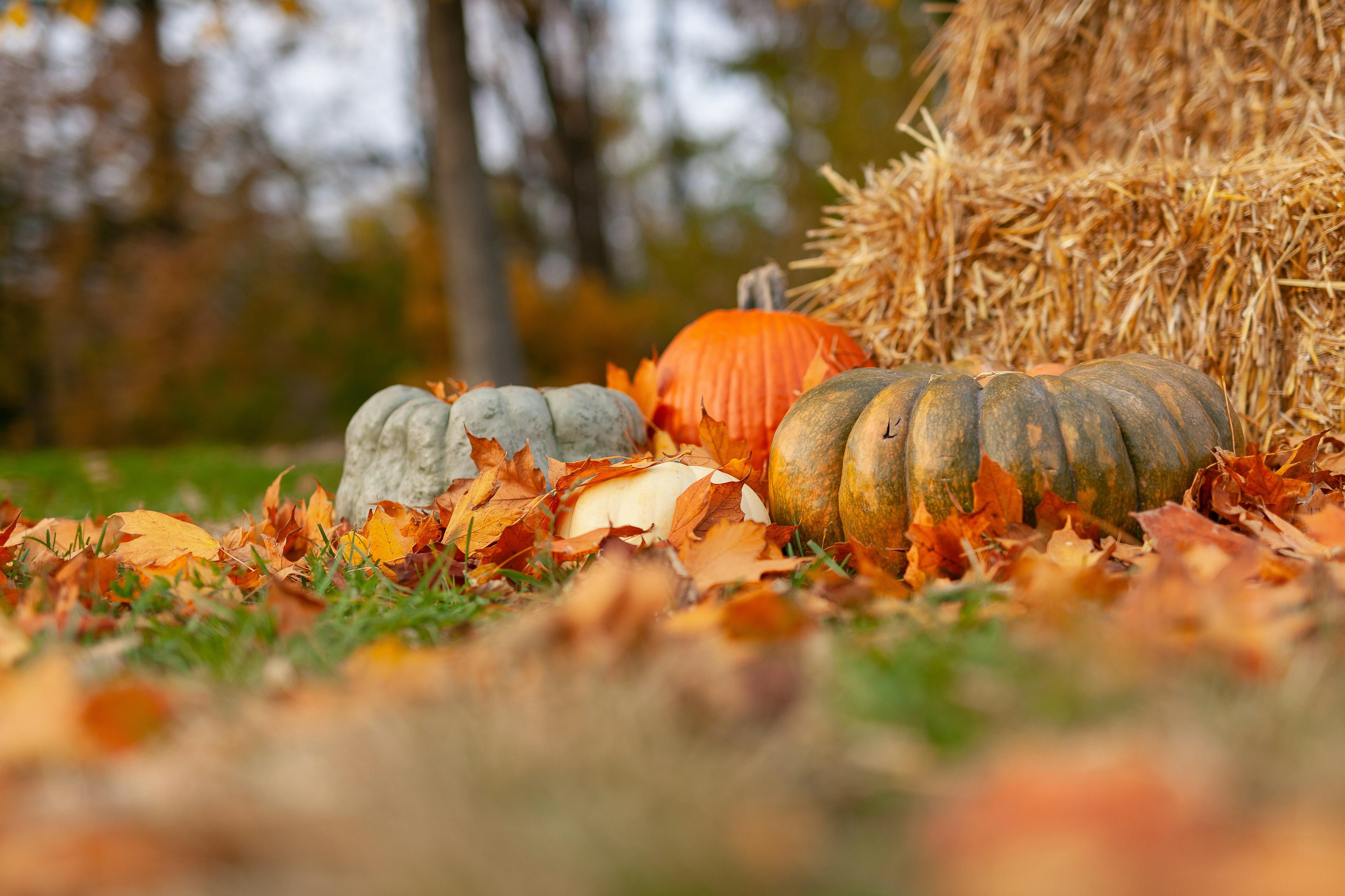 October 15th Deadlines Are Approaching