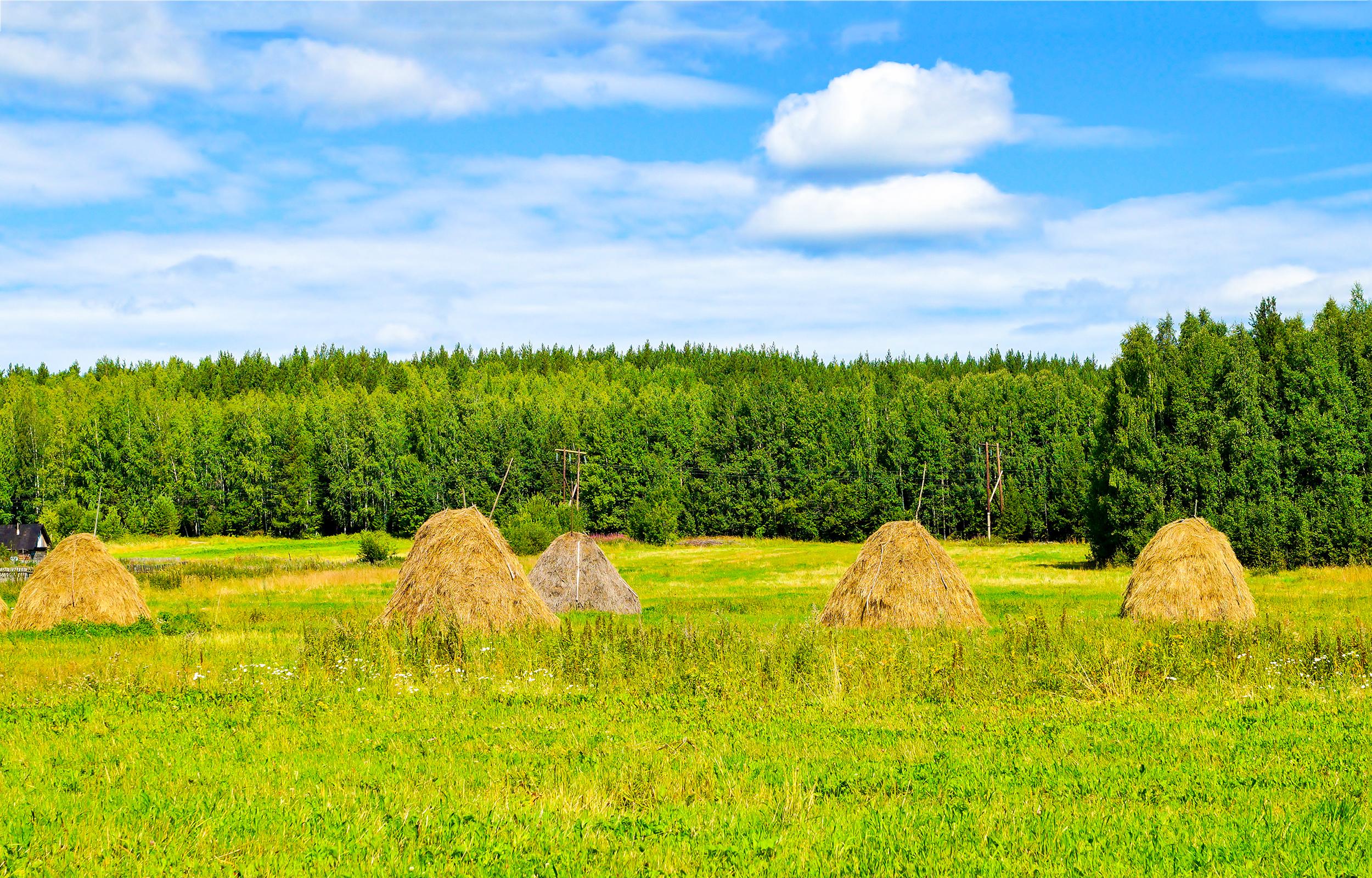 Own the Haystack, Not the Needle Thumbnail