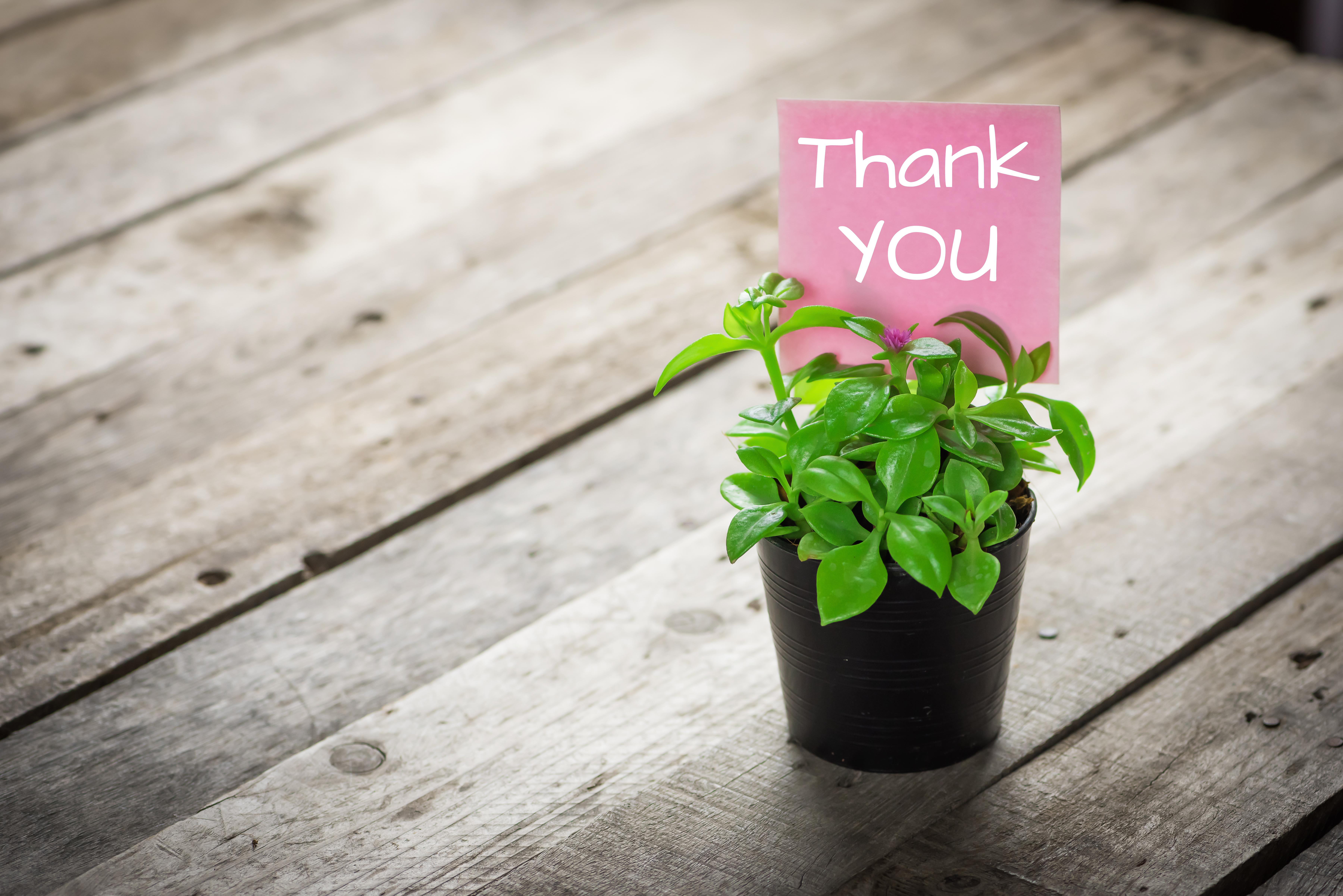 1.4 Million Reasons to Thank Our Clients Thumbnail