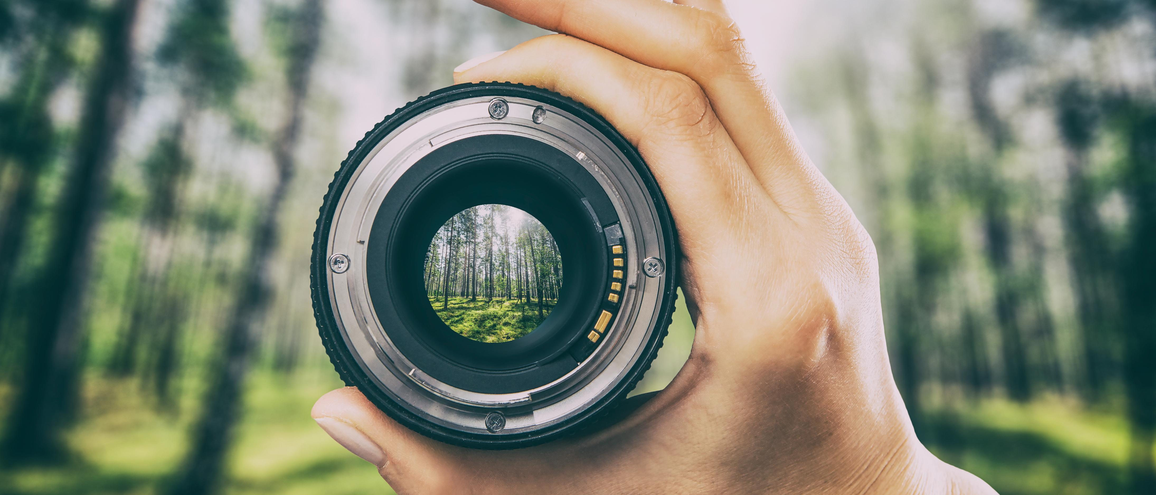 A focus on fixed income Thumbnail