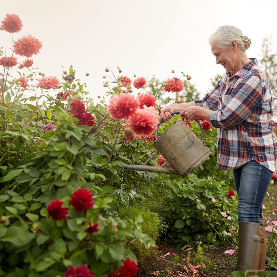 Creating Your Long-Term Care Roadmap: A Guide for Singles and Divorcees Thumbnail