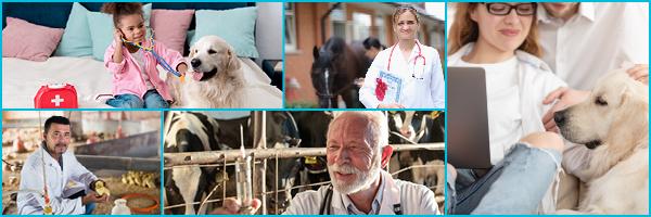 Lifestage Financial & Estate Planning for Veterinarians - 1 HR CE Thumbnail
