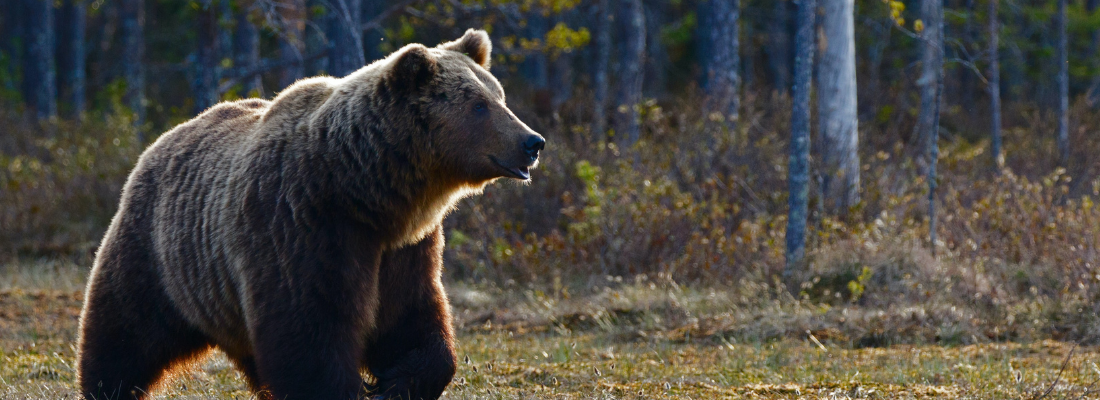 Can a Stock Market Selloff Be a Good Thing? Thumbnail