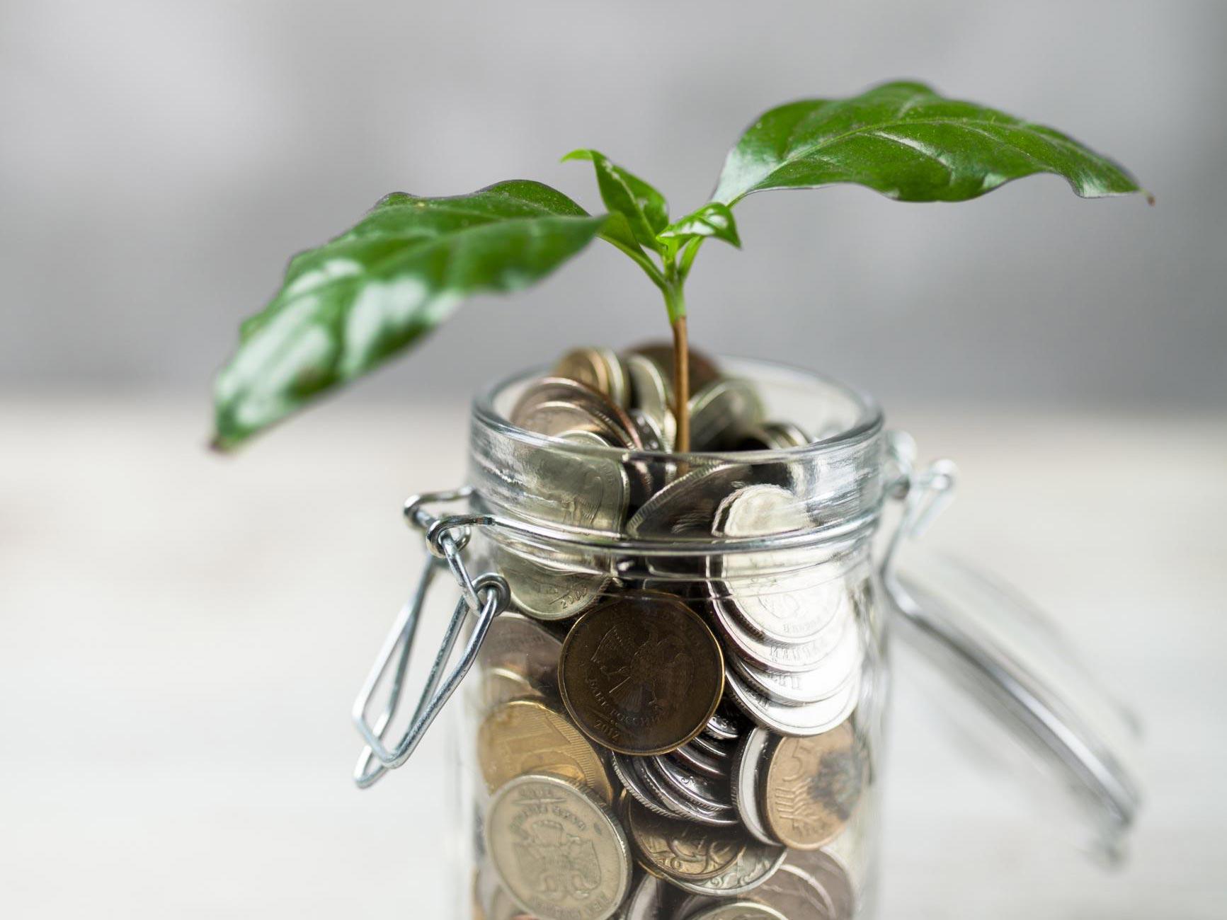 The Best Places Your Keep Your Emergency Fund Savings Thumbnail