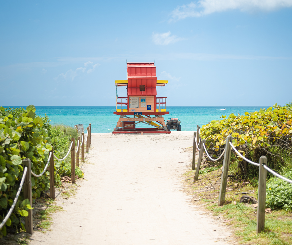 The "One Big Beautiful Bill" and Your Charitable Giving: A Florida Retiree's Guide to Smart Philanthropy Thumbnail