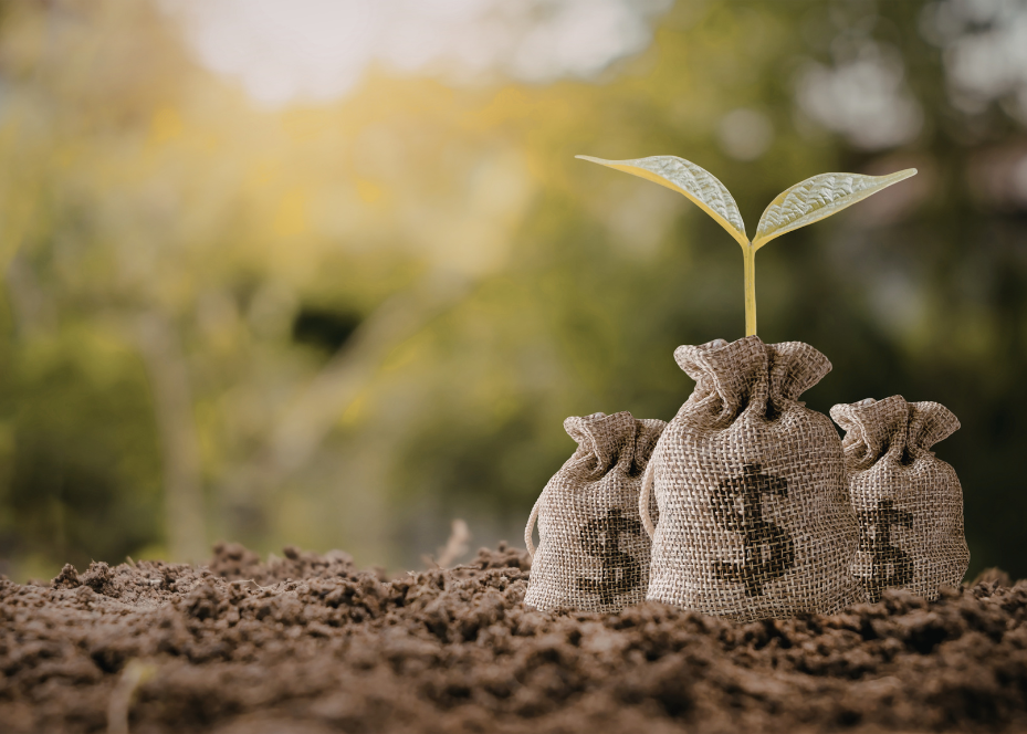 The Mega Backdoor Roth — Expanding What’s Possible  Thumbnail