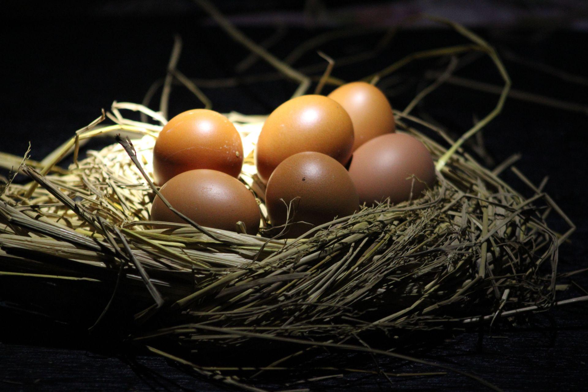 The Hidden Risks of Share-Based Compensation Thumbnail