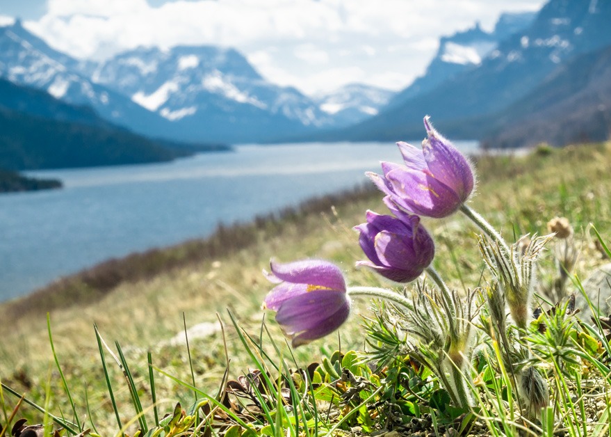 Mise à jour économique du printemps 2026 au Canada Thumbnail