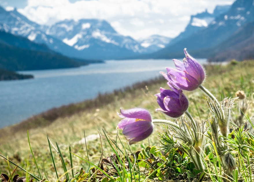 Canada’s Spring Economic Update 2026 Thumbnail