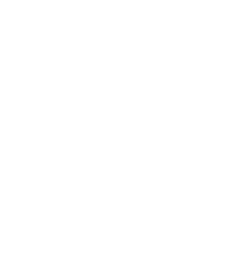 Logo for Lewellyn Financial Management