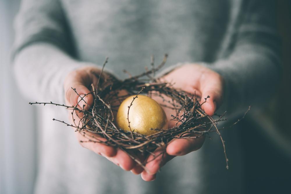 The Vanishing Nest Egg Thumbnail