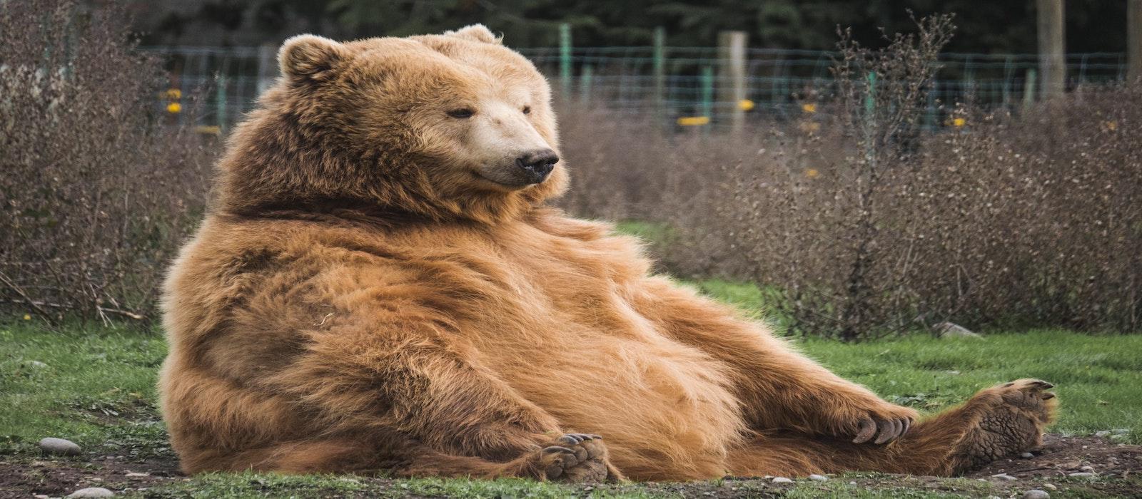 What You Should Remember About Bear Markets Thumbnail
