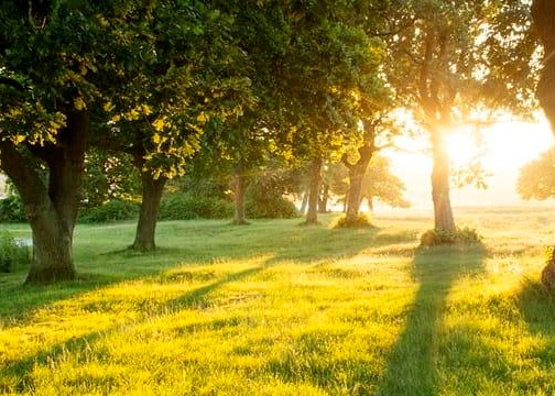 %POST_TITLE% Thumbnail