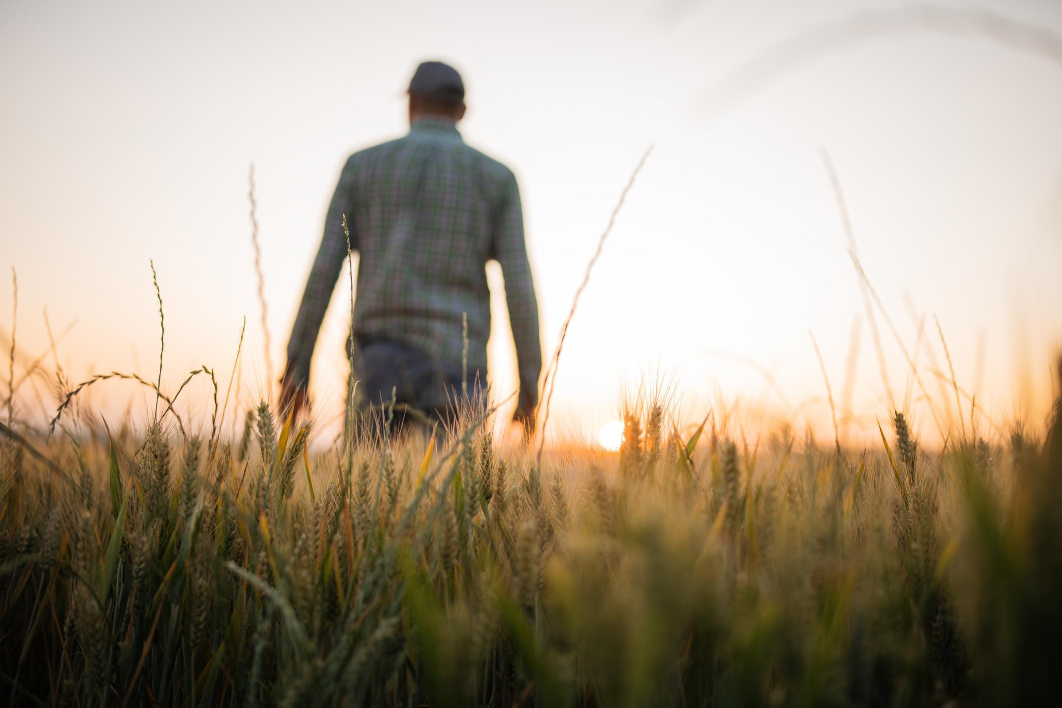 Q1 2026 Market Commentary  Thumbnail