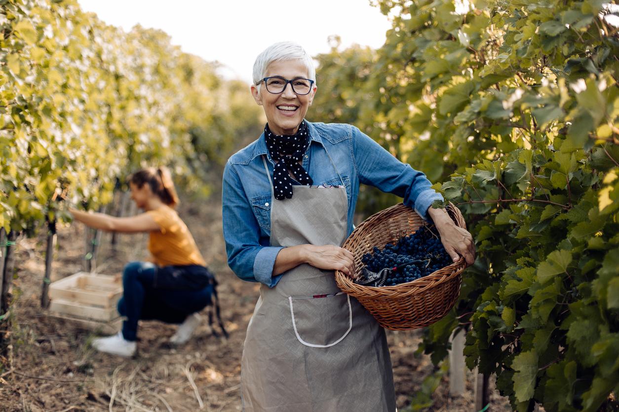 Giving With Intention: How Strategic Philanthropy Fits Into Your Wealth Plan  Thumbnail
