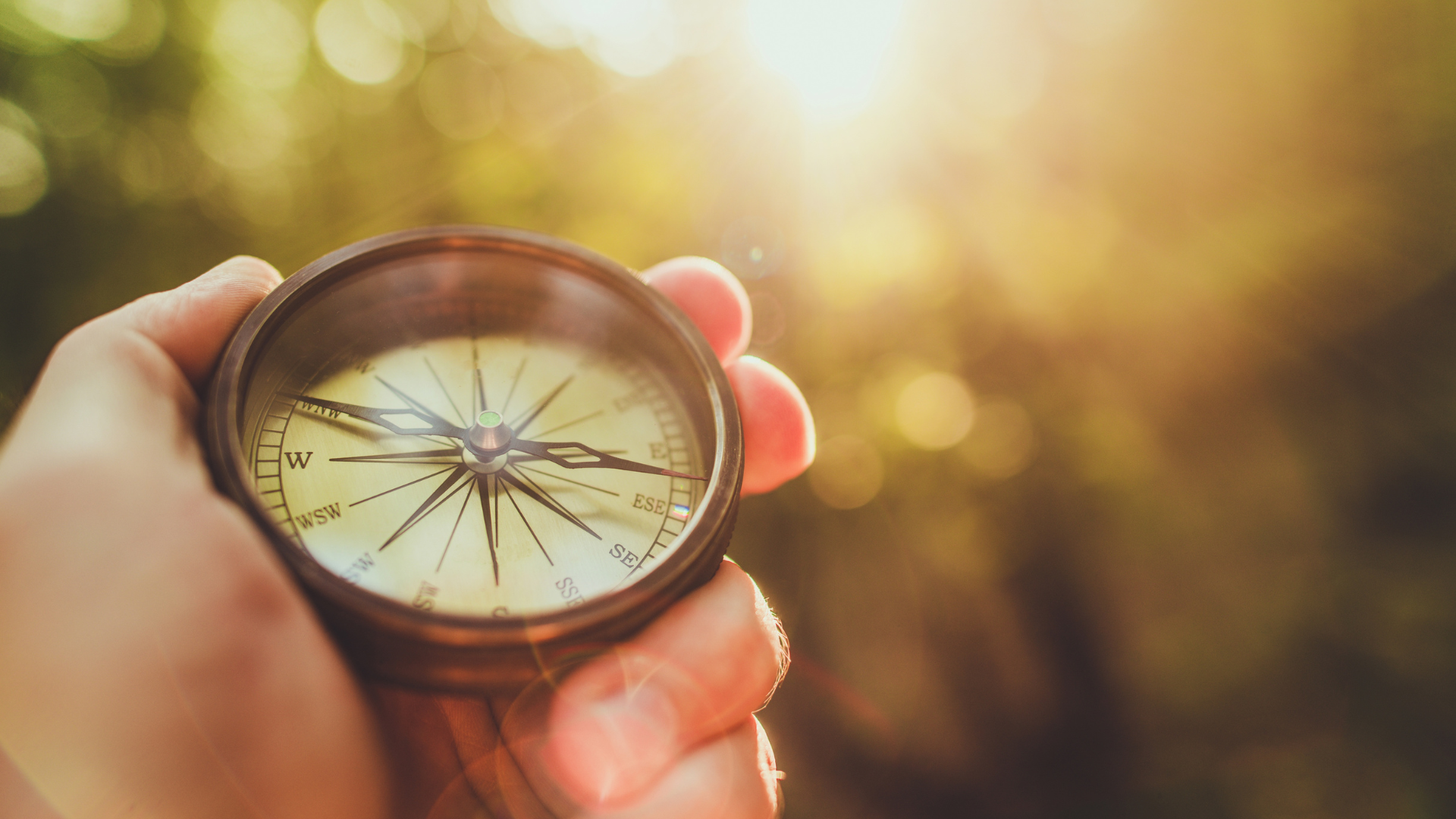 Staying the Course | Navigating Your Financial Plan During Midterm Election Years Thumbnail