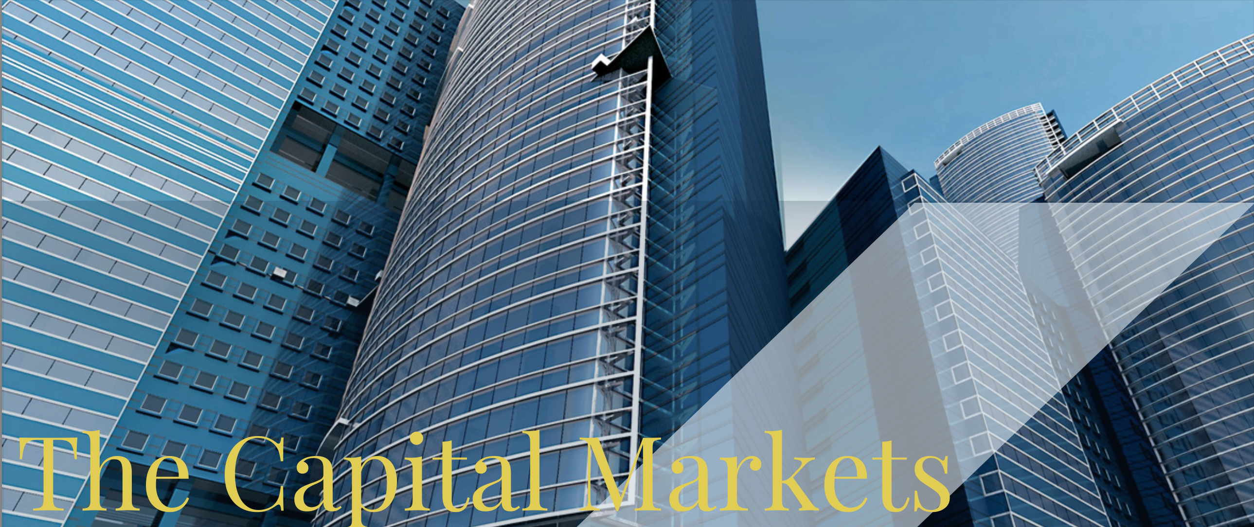 Q1 2025 Newsletter Thumbnail