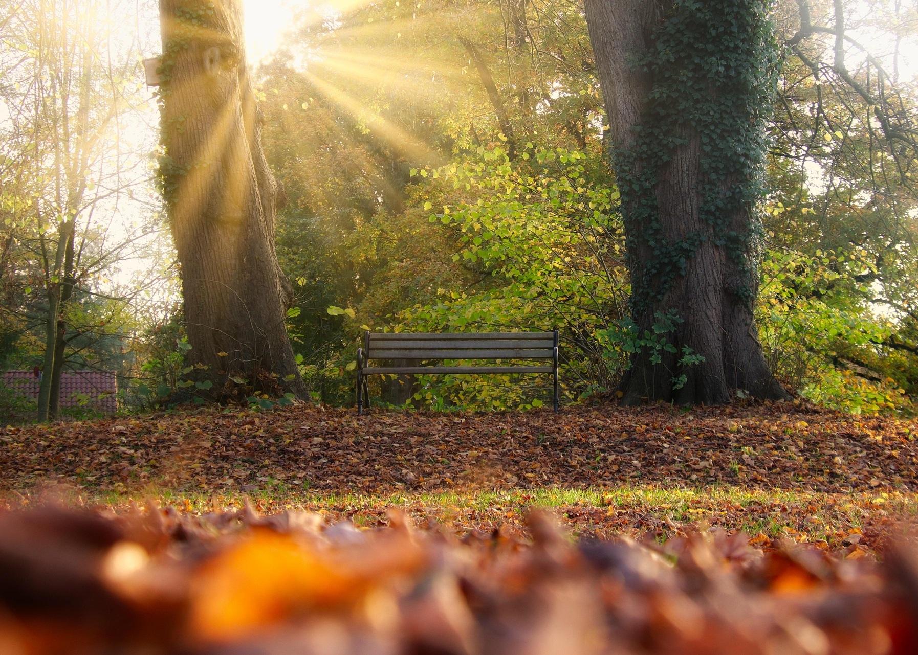 Q3: Markets resilient in a challenging environment  Thumbnail