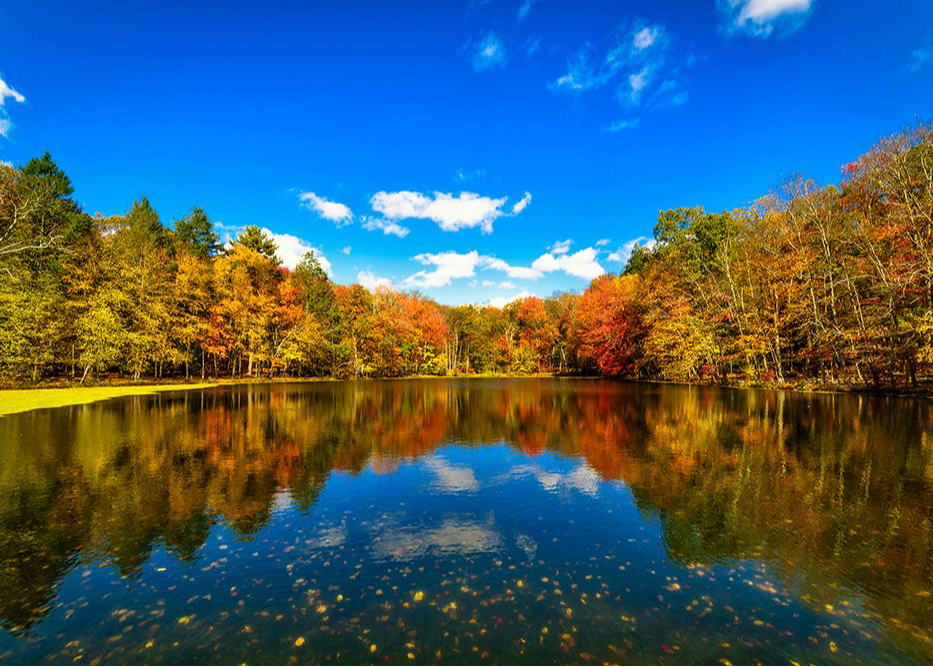  October Market Commentary: Is the Market Tuning Out the Noise or Ignoring a Warning Siren? Thumbnail