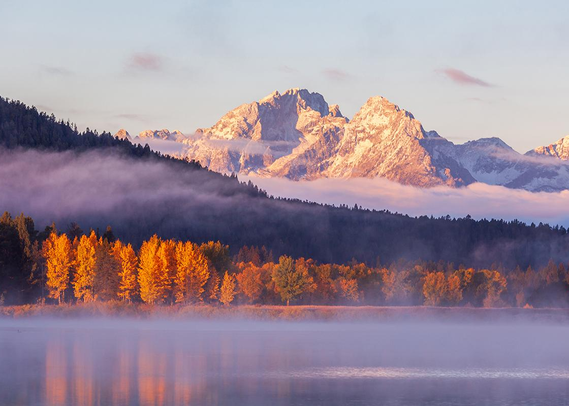 November Market Commentary: Government Shutdown, Labor Slowdown, but the Economy is Still Standing Thumbnail