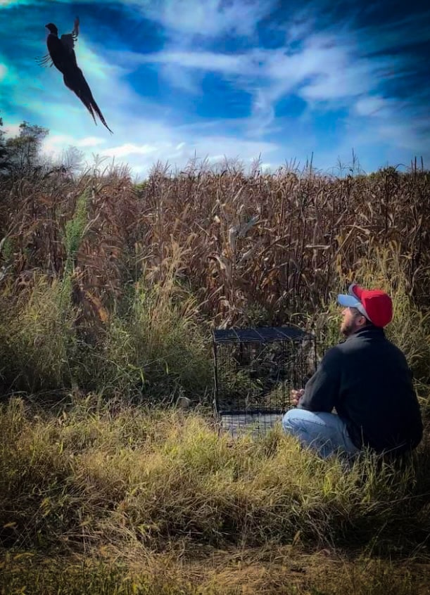 Dan releasing a bird