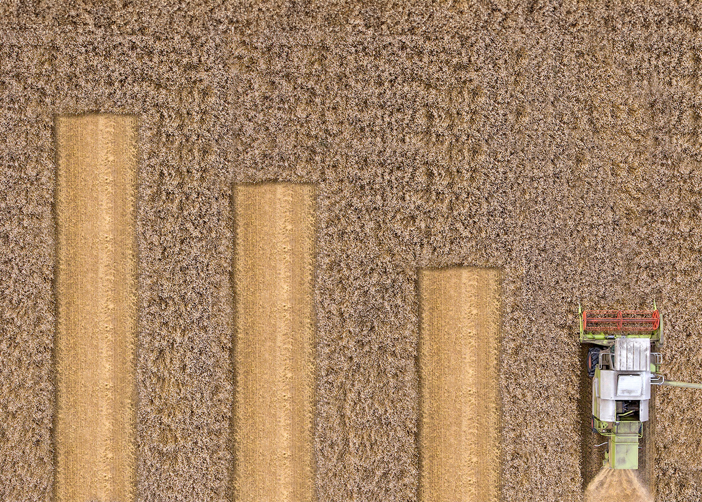Tax-Loss Harvesting Beyond December: Year-Round Strategies for Smarter Investing Thumbnail