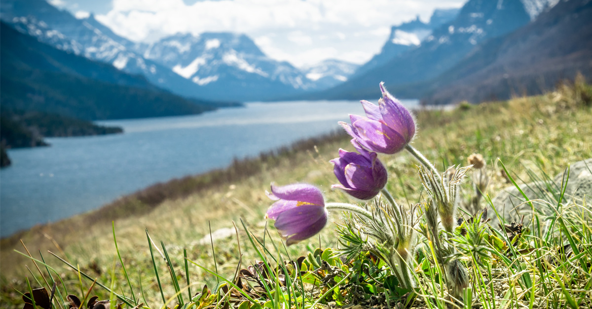Canada’s Spring Economic Update 2026 Thumbnail