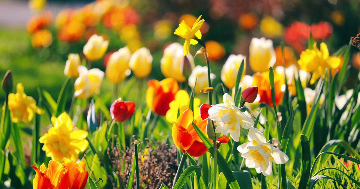 Spring Cleaning Your Finances